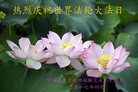 ֹ,ɹŴ󷨵ӹ編ִʦ𻪵(24)