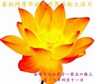 法轮功,内蒙古大法弟子恭贺世界法轮大法日暨师尊华诞(24条)