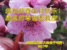 法轮功,陕西大法弟子恭贺世界法轮大法日暨师尊华诞(26条)