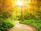 ֹ,󷨵ӹ編ִʦ𻪵(21)
