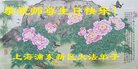 ֹ,Ϻ󷨵ӹ編ִʦ𻪵(18)