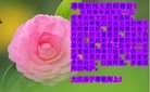ֹ,󷨵ӹ編ִʦ𻪵(19)