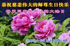ֹ,ϴ󷨵ӹ編ִʦ𻪵(26)