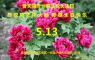 法轮功,云南大法弟子恭贺世界法轮大法日暨师尊华诞(19条)
