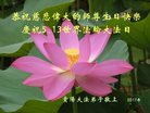 法轮功,贵州大法弟子恭贺世界法轮大法日暨师尊华诞(25条)