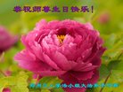 法轮功,郑州大法弟子恭贺世界法轮大法日暨师尊华诞(28条)