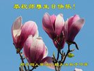 法轮功,郑州大法弟子恭贺世界法轮大法日暨师尊华诞(28条)