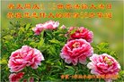 ֹ,մ󷨵ӹ編ִʦ𻪵(25)