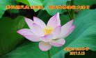ֹ,մ󷨵ӹ編ִʦ𻪵(25)