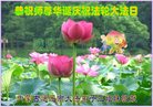 ֹ,ɹŴ󷨵ӹ編ִʦ𻪵(24)