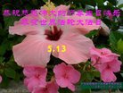 ֹ,㶫󷨵ӹ編ִʦ𻪵(27)