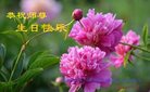 ֹ,ݴ󷨵ӹ編ִʦ𻪵(25)