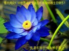 ֹ,󷨵ӹ編ִʦ𻪵(21)
