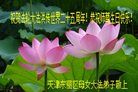 ֹ,󷨵ӹ編ִʦ𻪵(21)