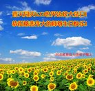 ֹ,󷨵ӹ編ִʦ𻪵(24)