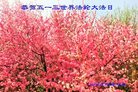 ֹ,󷨵ӹ編ִʦ𻪵(27)