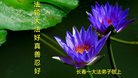 ֹ,󷨵ӹ編ִʦ𻪵(23)