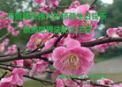 ֹ,󷨵ӹ編ִʦ𻪵(24)