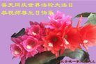 ֹ,ӱ󷨵ӹ編ִʦ𻪵(27)