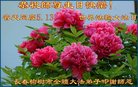 ֹ,󷨵ӹ編ִʦ𻪵(22)