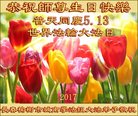 法轮功,长春大法弟子恭贺世界法轮大法日暨师尊华诞(22条)