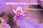 ֹ,ɶ󷨵ӹ編ִʦ𻪵(21)