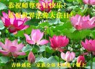 ֹ,ʡ󷨵ӹ編ִʦ𻪵(22)