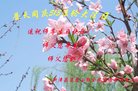ֹ,ɶ󷨵ӹ編ִʦ𻪵(21)
