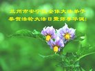 ֹ,󷨵ӹ編ִʦ𻪵(22)