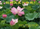 法轮功,保定大法弟子恭贺世界法轮大法日暨师尊华诞(19条)