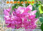 ֹ,󷨵ӹ編ִʦ𻪵(22)