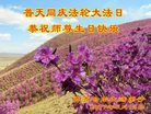 ֹ,󷨵ӹ編ִʦ𻪵(19)