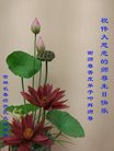 ֹ,ʡ󷨵ӹ編ִʦ𻪵(20)