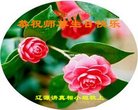 ֹ,ʡ󷨵ӹ編ִʦ𻪵(20)