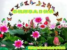 ֹ,ʡ󷨵ӹ編ִʦ𻪵(20)