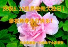 ֹ,󷨵ӹ編ִʦ𻪵(19)