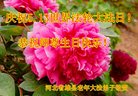 ֹ,󷨵ӹ編ִʦ𻪵(19)