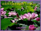 ֹ,󷨵ӹ編ִʦ𻪵(24)
