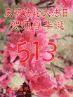 ֹ,󷨵ӹ編ִʦ𻪵(21)
