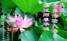 ֹ,󷨵ӹ編ִʦ𻪵(21)