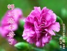 ֹ,󷨵ӹ編ִʦ𻪵(21)