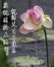 ֹ,󷨵ӹ編ִʦ𻪵(24)