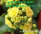 ֹ,Ϋ󷨵ӹ編ִʦ𻪵(25)