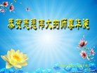 法轮功,青岛大法弟子恭贺世界法轮大法日暨师尊华诞(22条)