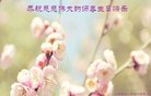 ֹ,ɽ󷨵ӹ編ִʦ𻪵(23)