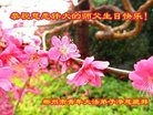 ֹ,ϴ󷨵ӹ編ִʦ𻪵(22)