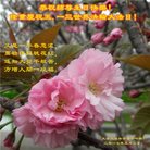 ֹ,󷨵ӹ編ִʦ𻪵(21)