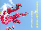 ֹ,󷨵ӹ編ִʦ𻪵(19)