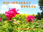 ֹ,󷨵ӹ編ִʦ𻪵(24)
