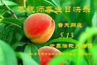 ֹ,󷨵ӹ編ִʦ𻪵(22)